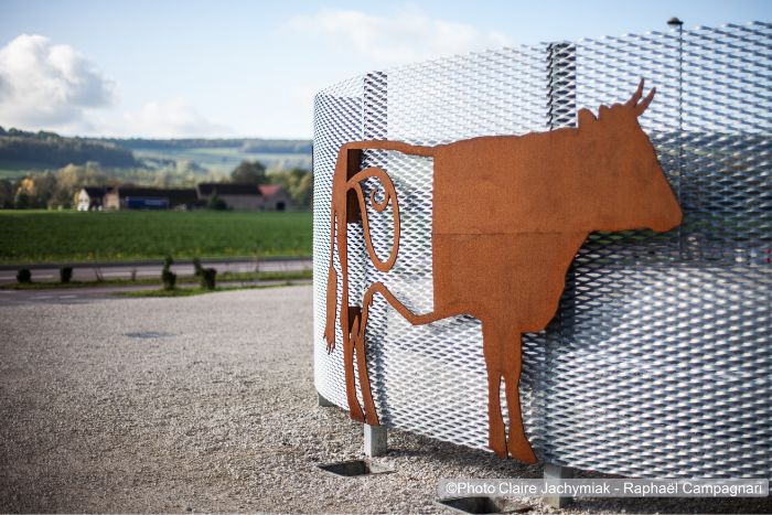 Clôture et cloison en métal déployé