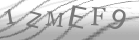 captcha-2