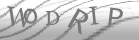 captcha-2