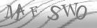 captcha-2