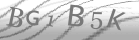 captcha-2