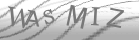captcha-2