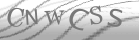 captcha-2